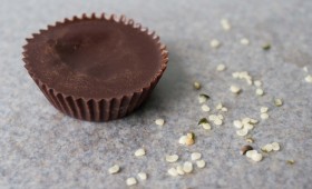 Raw Hemp Sunflower Seed Butter Cups (vgn)